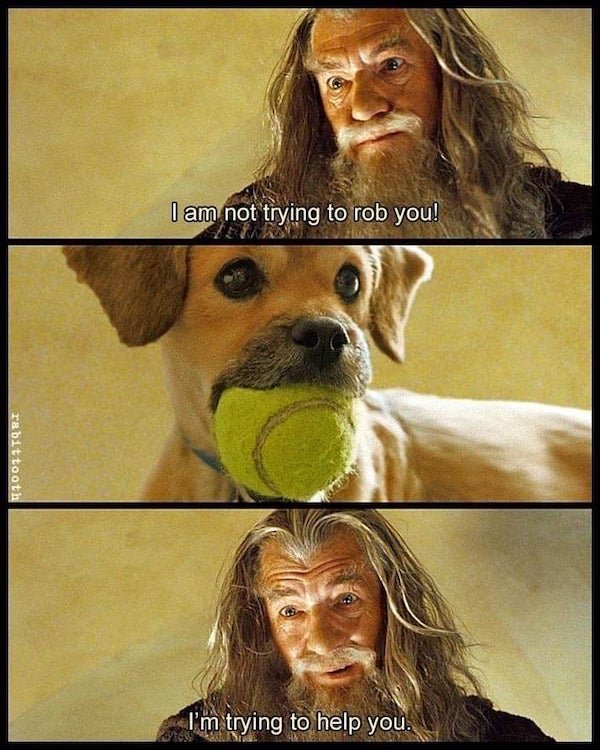Dogs Memes (32 pics)