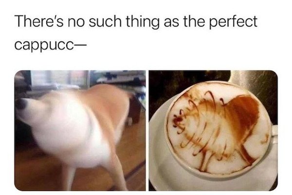 Dogs Memes (32 pics)