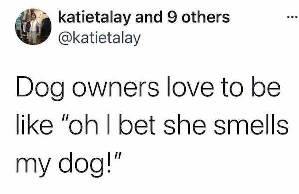 Dogs Memes (32 pics)