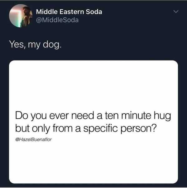 Dogs Memes (32 pics)