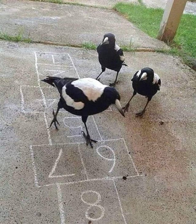 Acid Picdump 2 (71 pics)