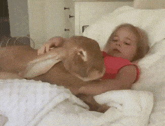 Acid Gifdump, July 13 (25 gifs)
