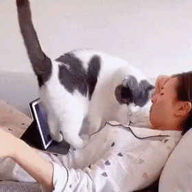 Acid Gifdump, July 13 (25 gifs)