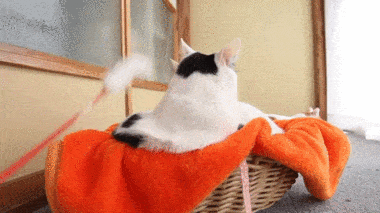 Acid Gifdump, July 13 (25 gifs)