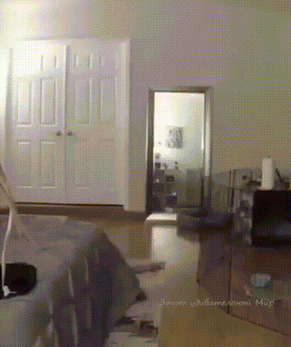 Acid Gifdump, July 13 (25 gifs)