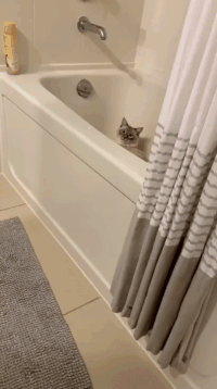 Acid Gifdump, July 13 (25 gifs)
