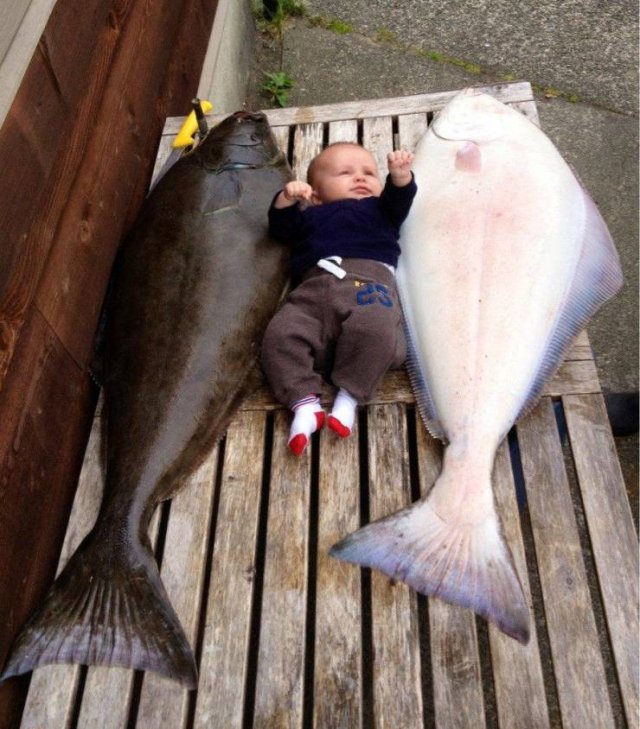 Acid Picdump 2 (76 pics)