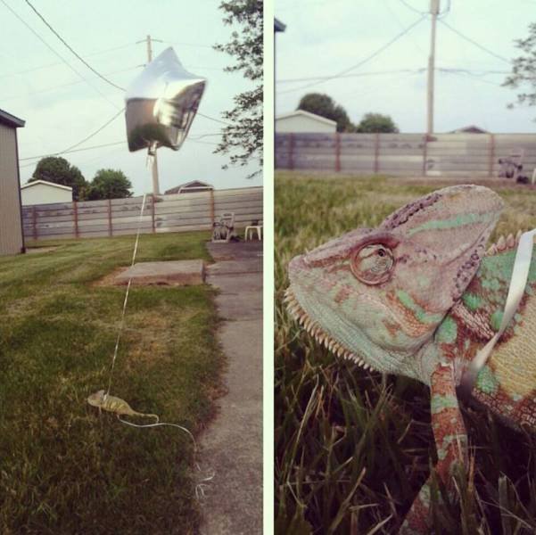 Acid Picdump 2 (76 pics)