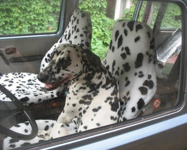 Acid Picdump 2 (76 pics)