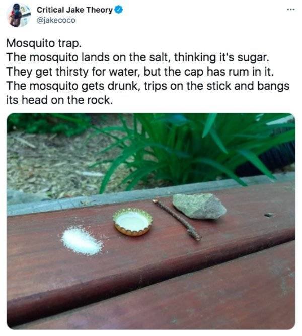 It's Funny (50 pics)