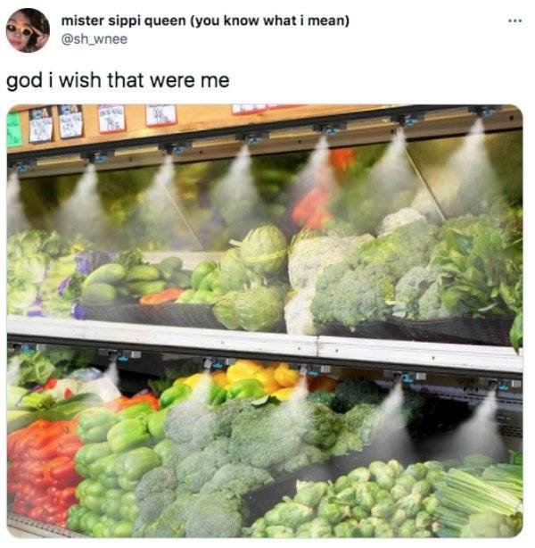 It's Funny (50 pics)