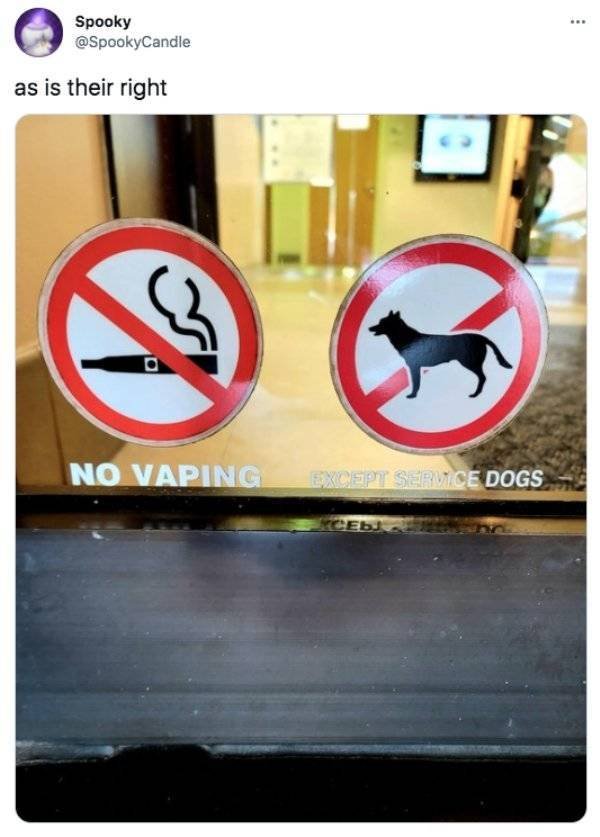 It's Funny (50 pics)