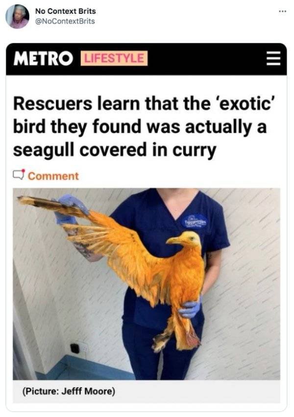 It's Funny (50 pics)