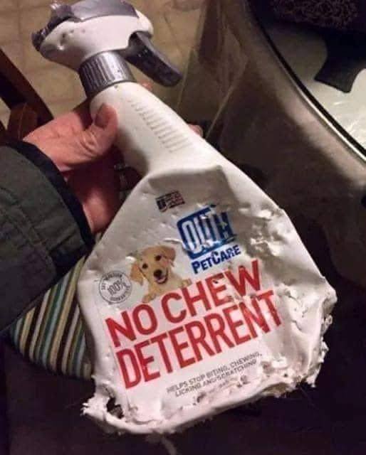 Acid Picdump 2 (76 pics)