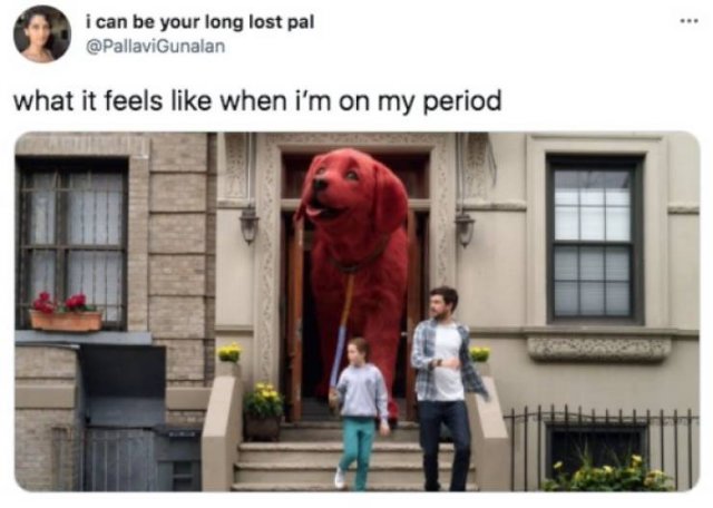 It's Funny (50 pics)
