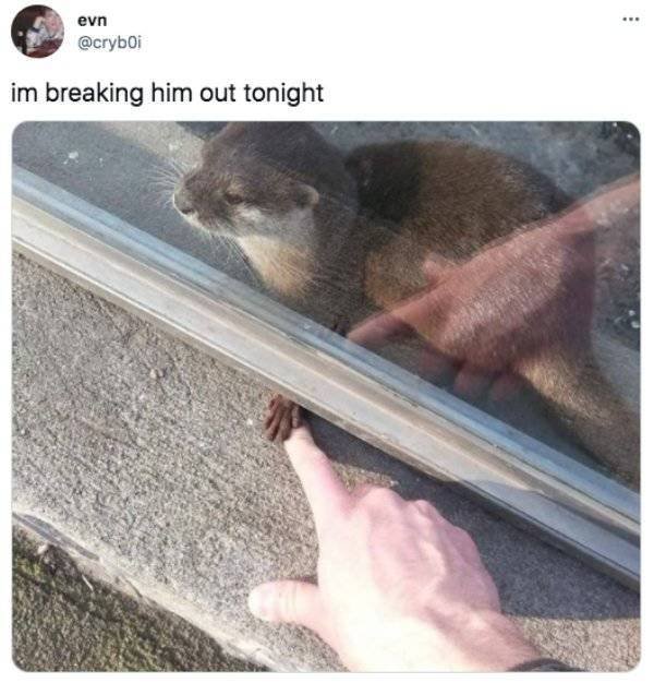 It's Funny (50 pics)