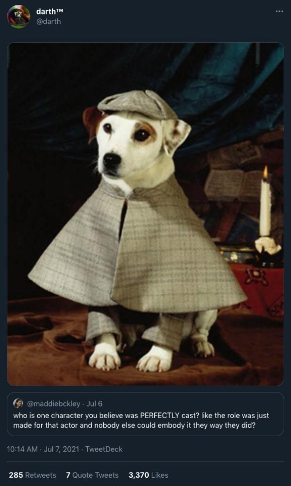 Cats And Dogs Tweets (31 pics)