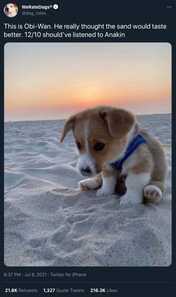 Cats And Dogs Tweets (31 pics)