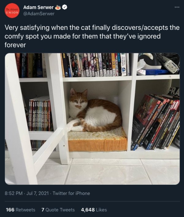 Cats And Dogs Tweets (31 pics)