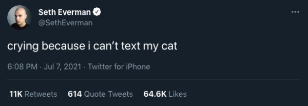 Cats And Dogs Tweets (31 pics)