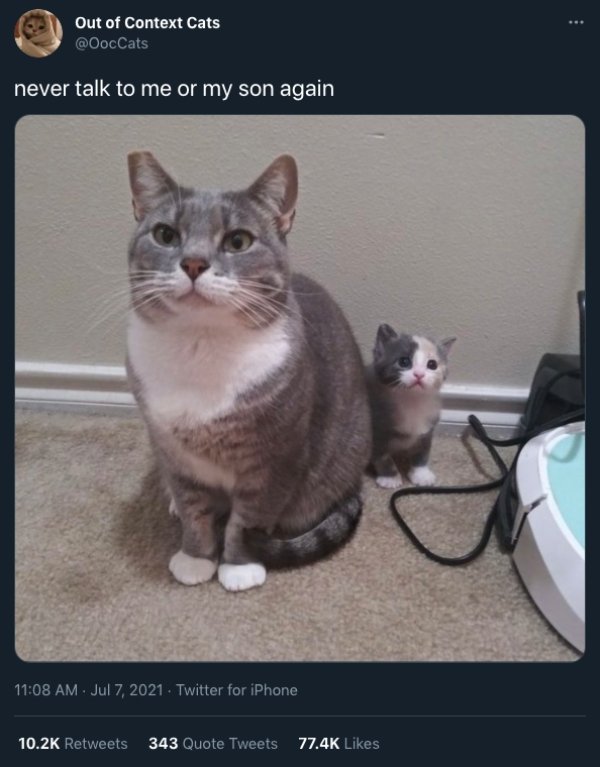 Cats And Dogs Tweets (31 pics)