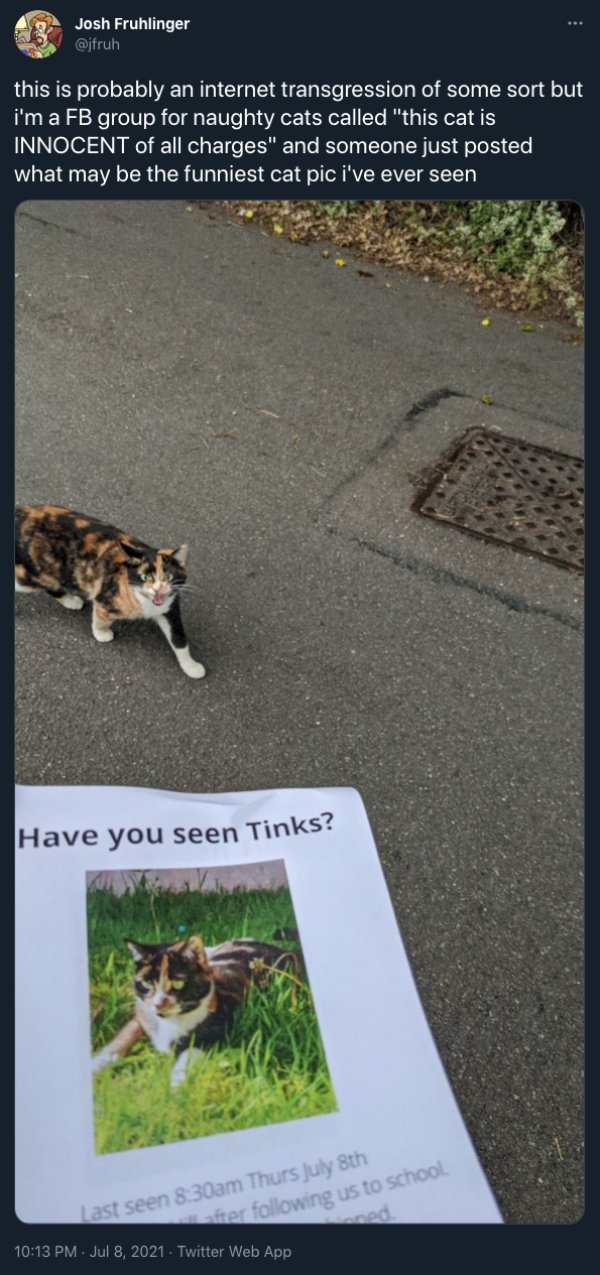 Cats And Dogs Tweets (31 pics)