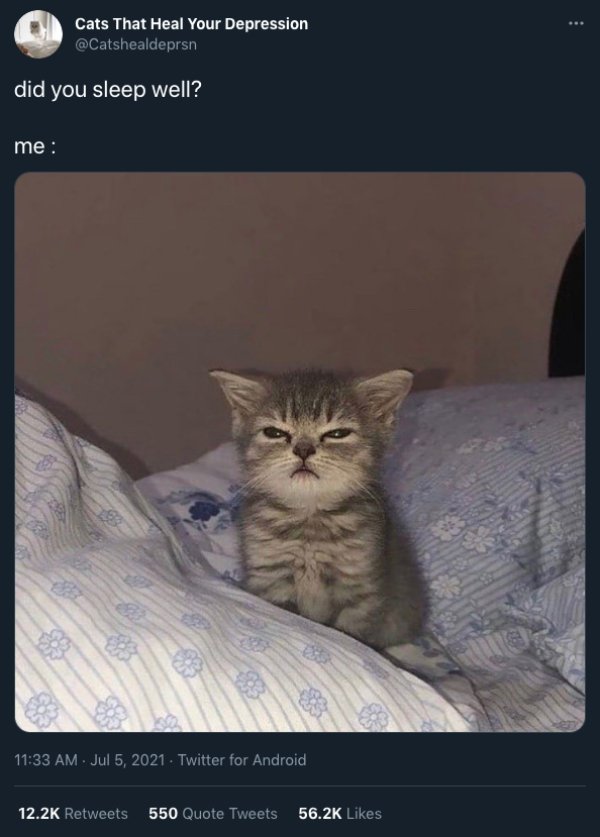 Cats And Dogs Tweets (31 pics)