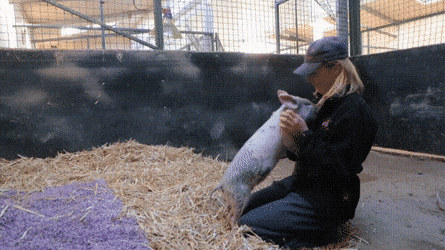 Acid Gifdump, July 14 (25 gifs)
