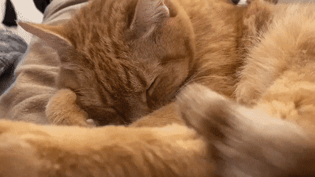 Acid Gifdump, July 14 (25 gifs)