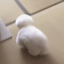 Acid Gifdump, July 14 (25 gifs)
