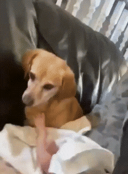Acid Gifdump, July 14 (25 gifs)