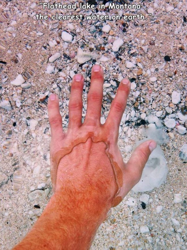 Acid Picdump 1 (74 pics)