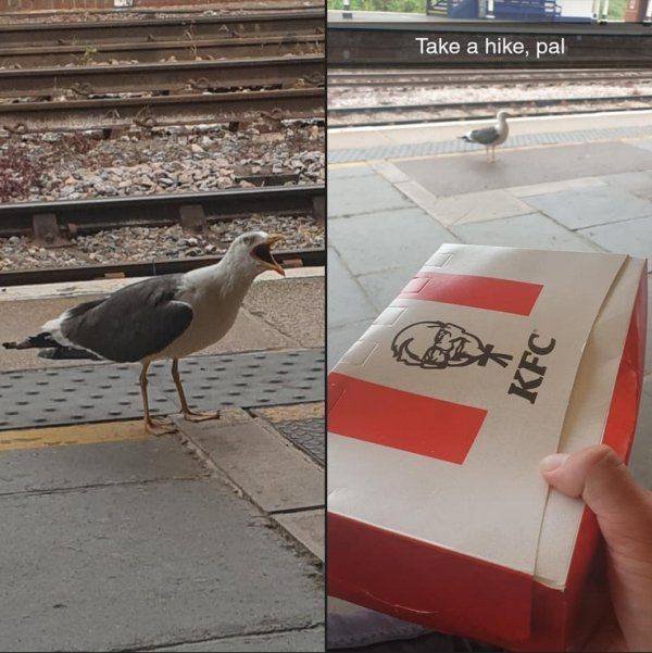Acid Picdump 2 (72 pics)