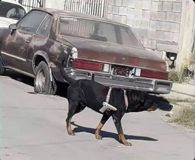 Acid Picdump 2 (72 pics)