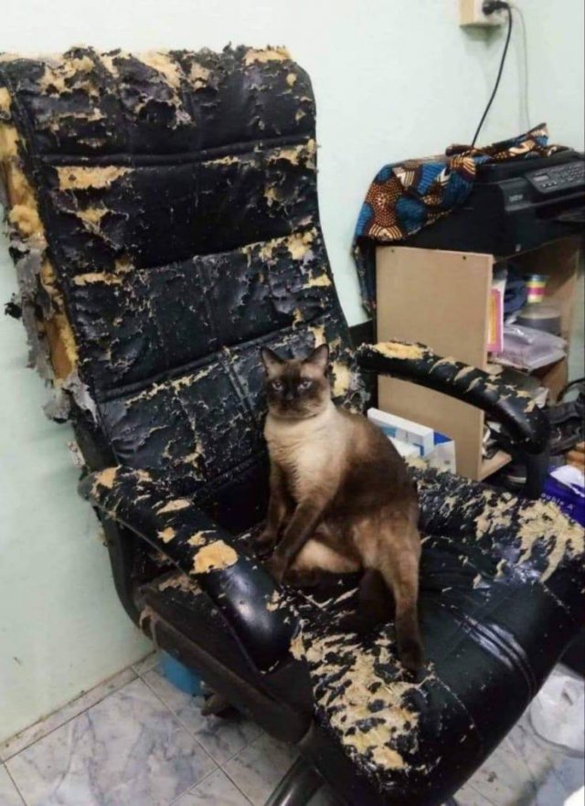 Acid Picdump 1 (74 pics)