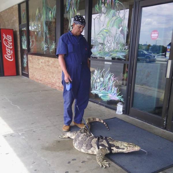 Acid Picdump 1 (74 pics)