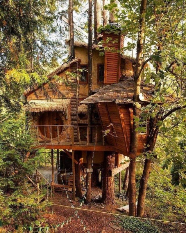 Acid Picdump 2 (72 pics)