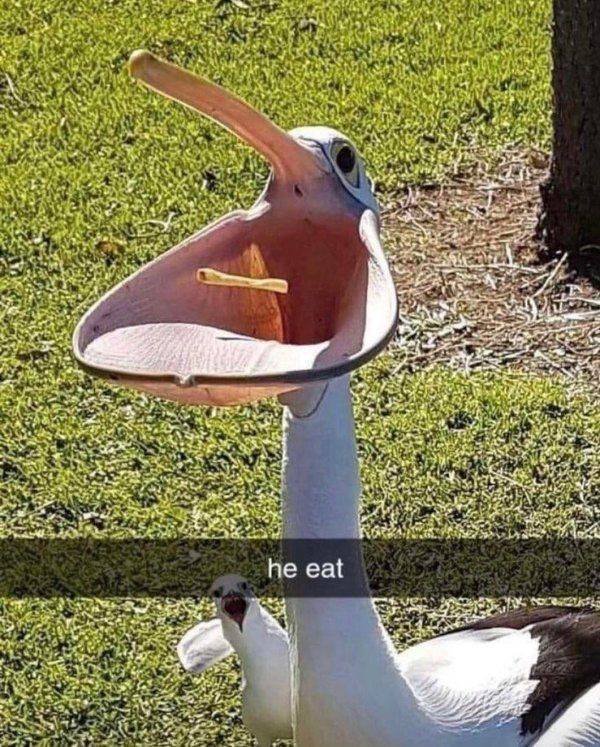 Acid Picdump 2 (72 pics)