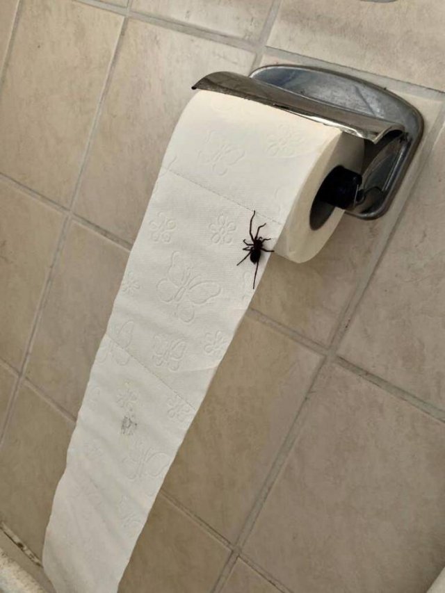 Acid Picdump 1 (74 pics)