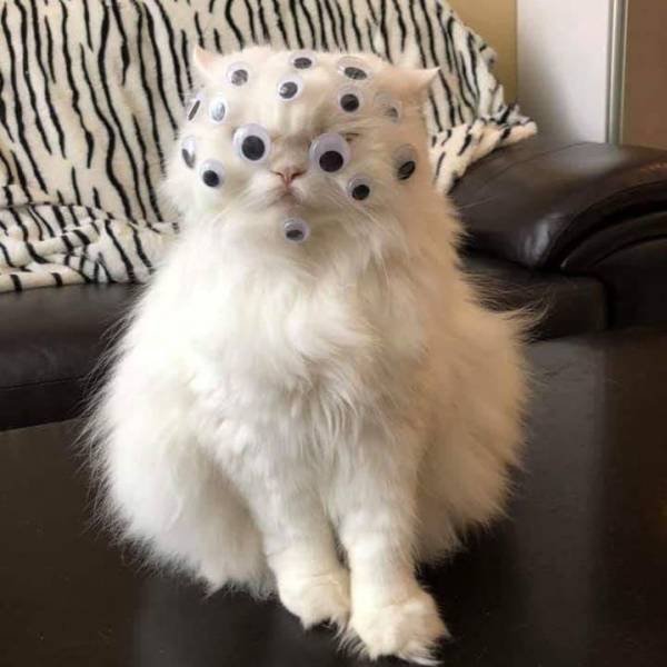 Acid Picdump 2 (72 pics)