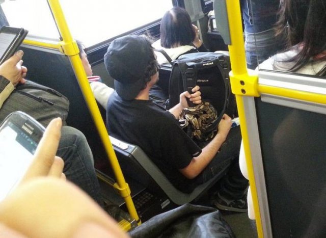 Acid Picdump 1 (74 pics)