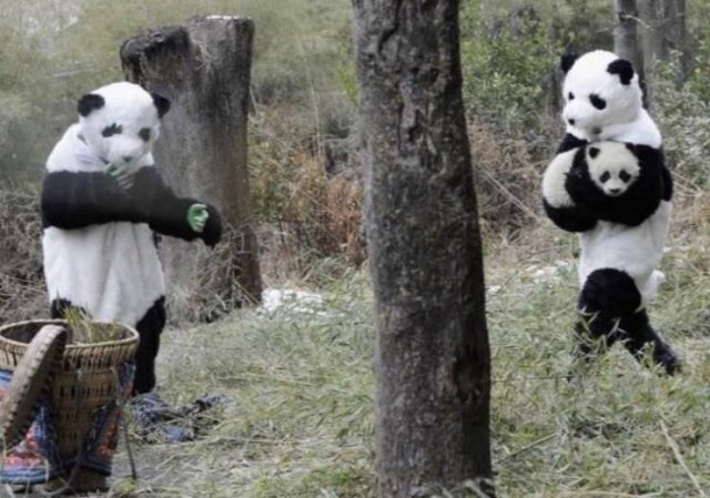 Acid Picdump 1 (74 pics)