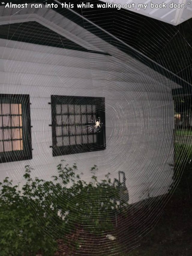 Acid Picdump 1 (74 pics)