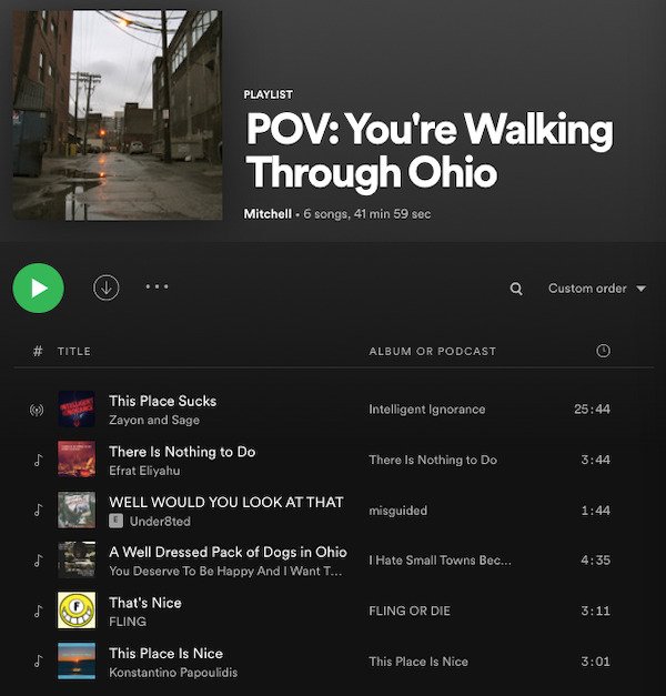 Spotify Playlists For Different Occasions (33 pics)