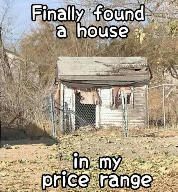 So True And So Sad (45 pics)