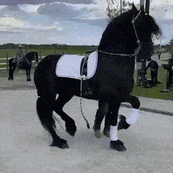 Acid Gifdump, July 16 (25 gifs)