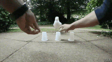Acid Gifdump, July 16 (25 gifs)