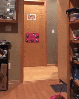 Acid Gifdump, July 16 (25 gifs)