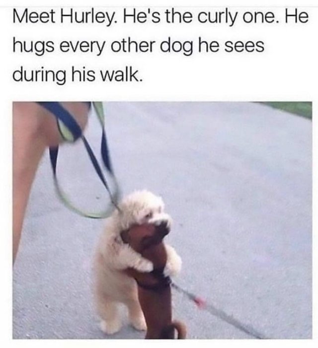 Wholesome Stories (49 pics)