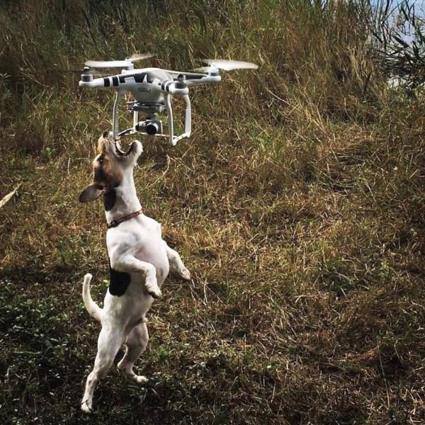 Acid Picdump 1 (74 pics)